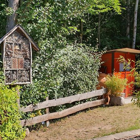 Ferienhaus Am Wald Ronshausen Екстериор снимка